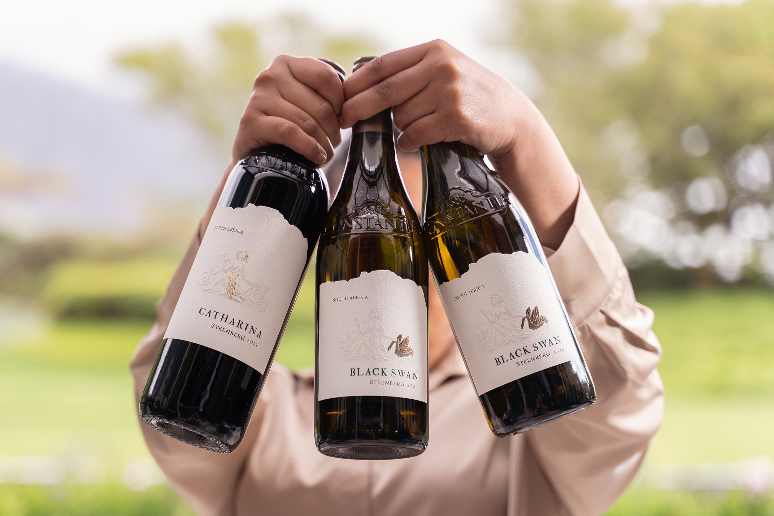Steenberg-Wine-Club-4