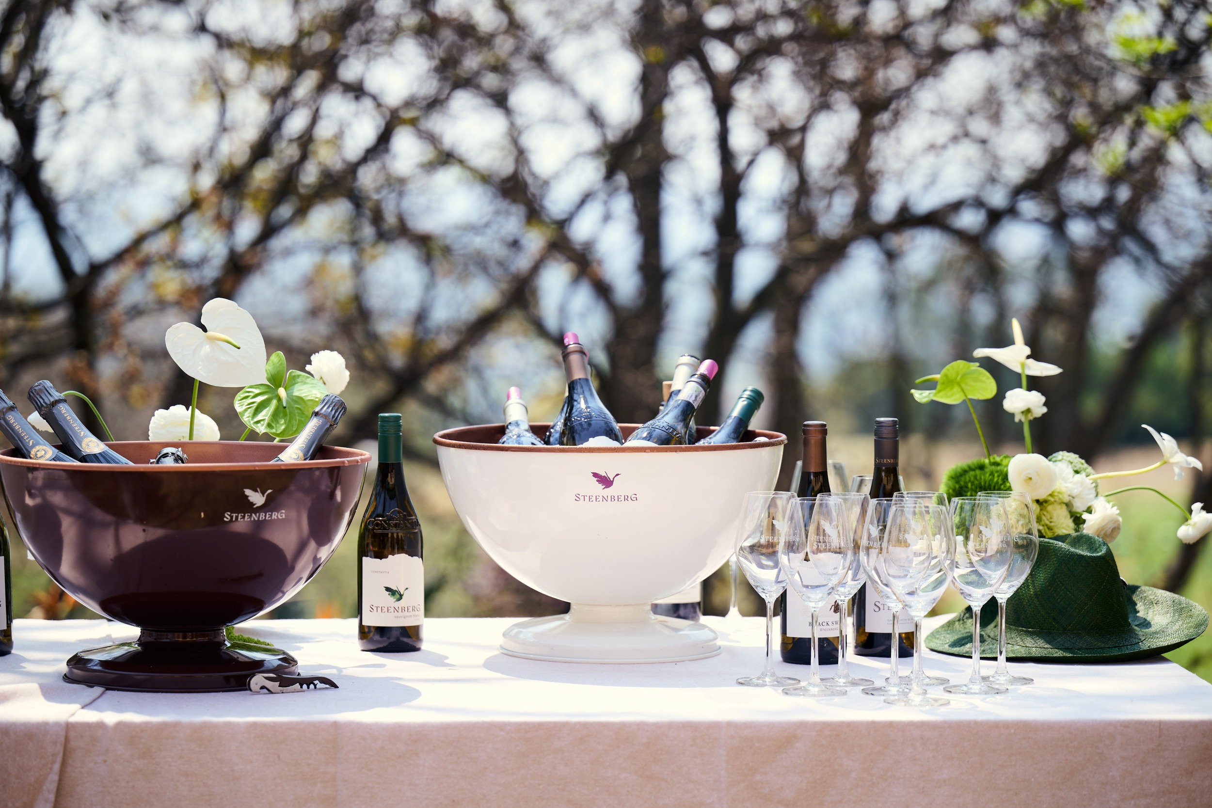 Steenberg-Wine-Club-5